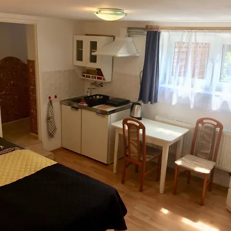 Dom Gościnny Satori Apartament *